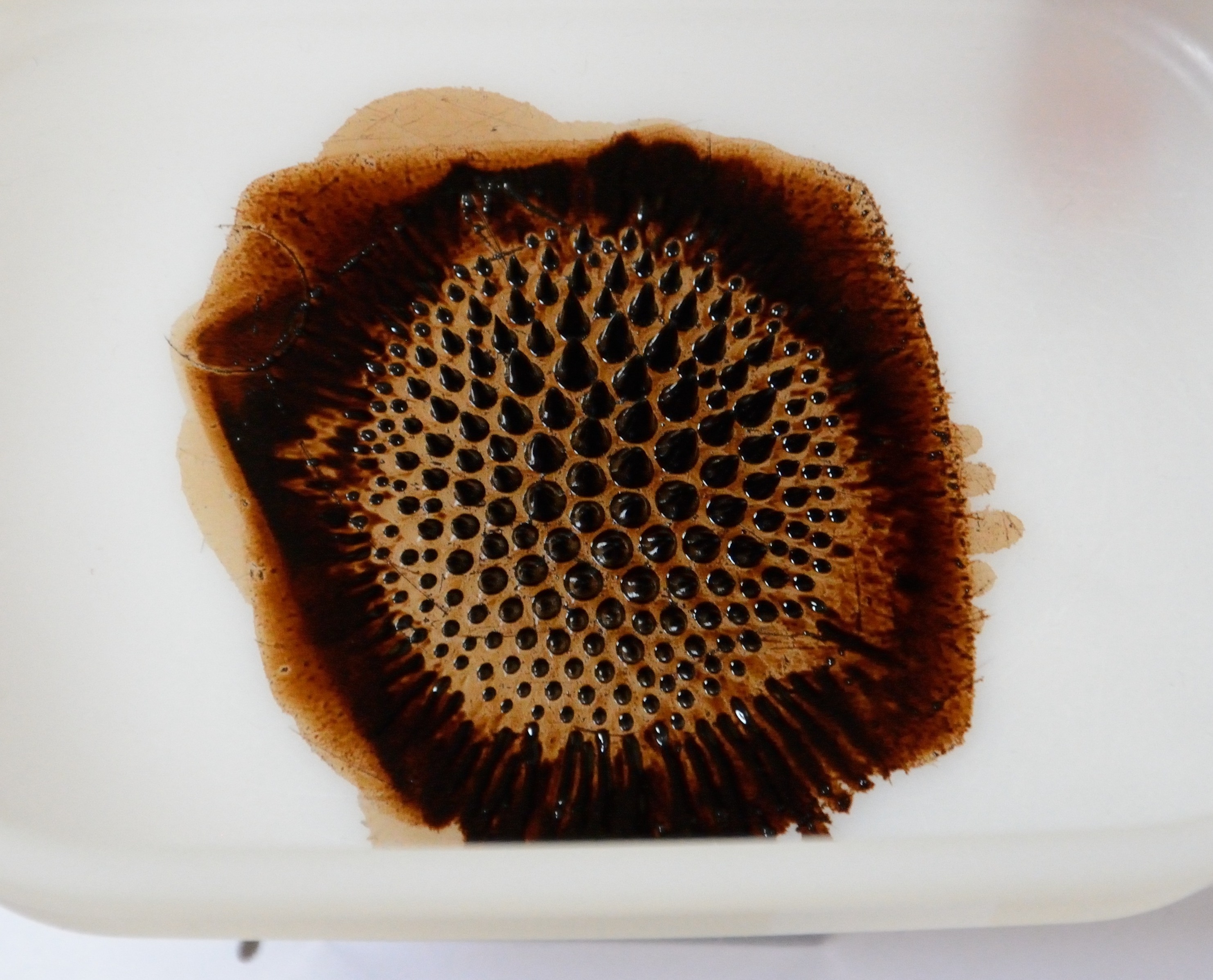 Ferrofluid 1.