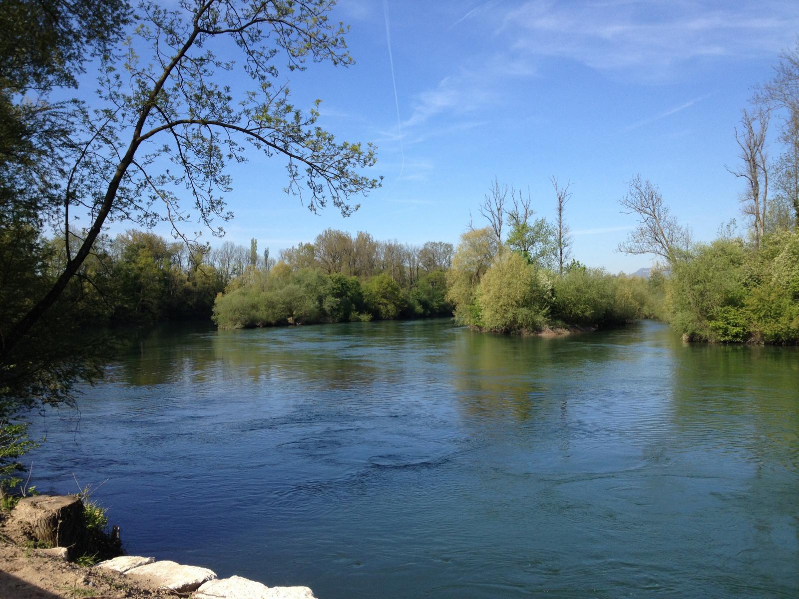 Aare