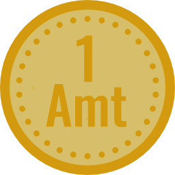 Amt Coin